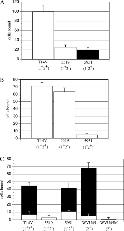 FIG. 1.