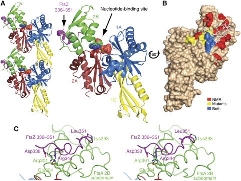 Figure 2