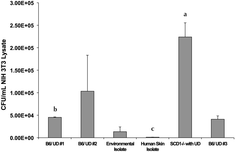 Figure 5.