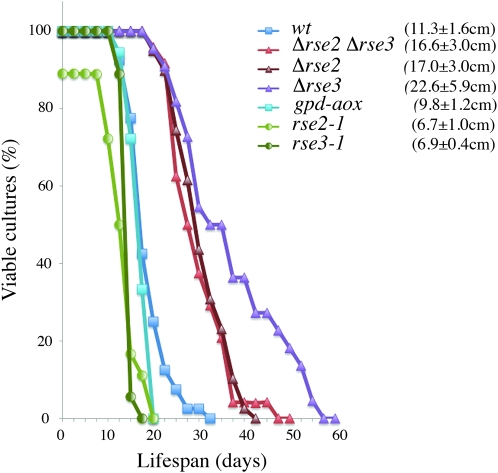 Figure 6.—