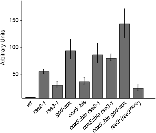 Figure 3.—