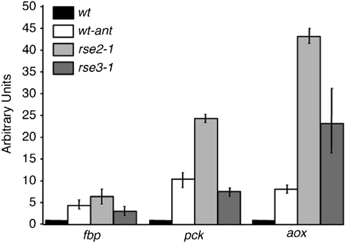 Figure 5.—