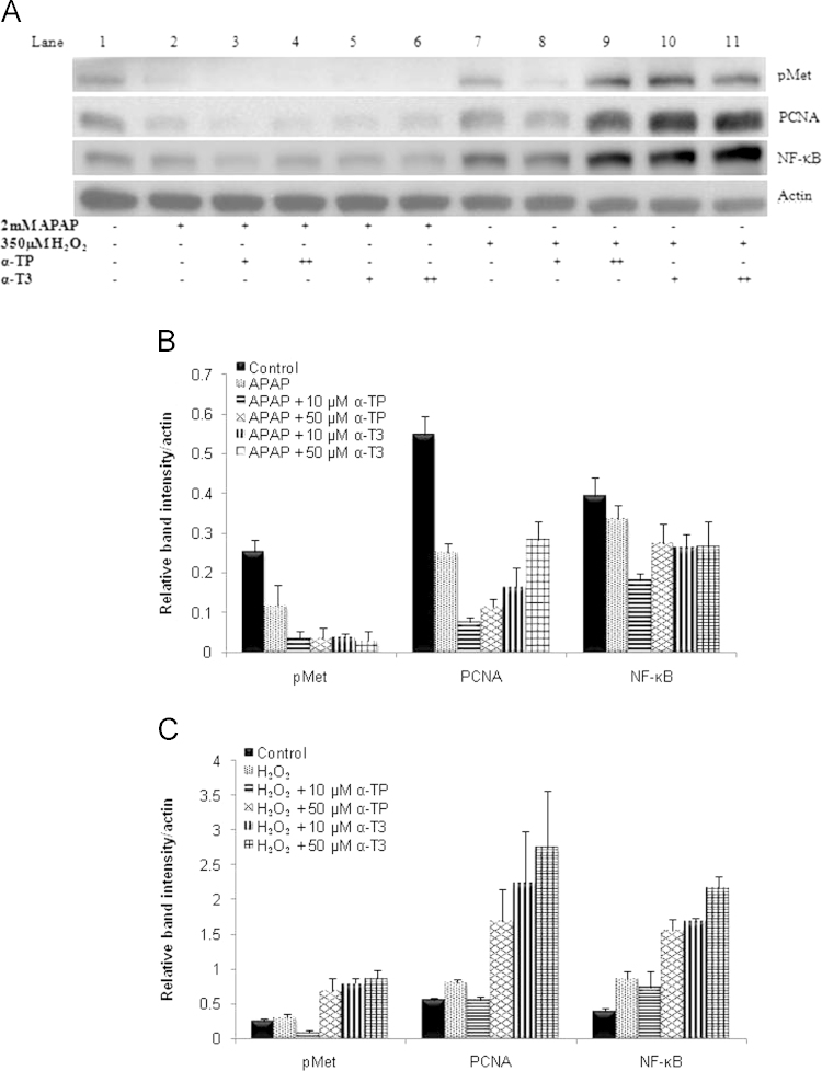 Fig. 8