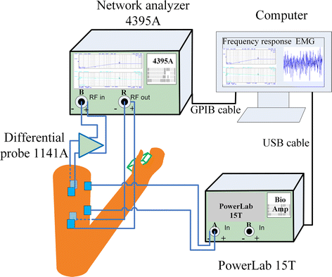 Fig. 2