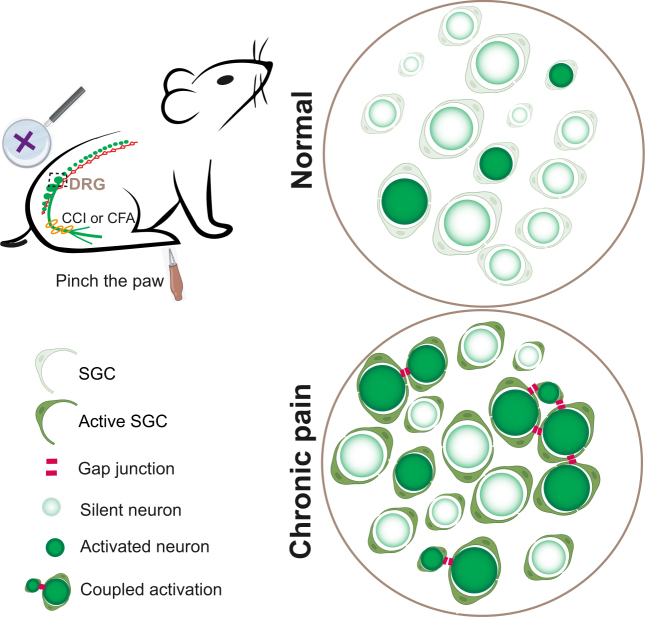 Figure 3: