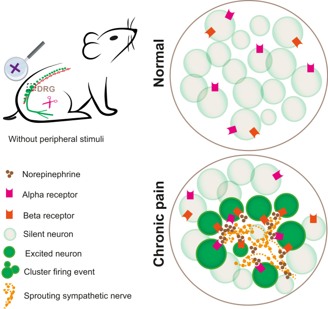 Figure 4: