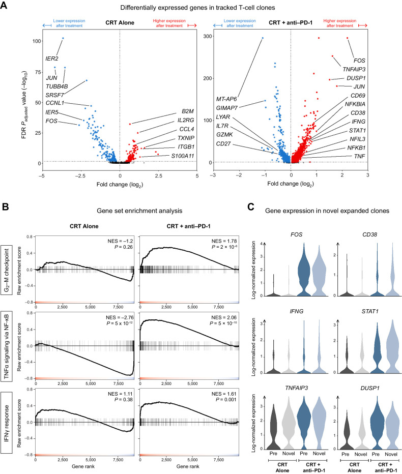 Figure 4. PD-1 blockade induces the AP-1, NF-κB, and IFN transcriptional programs in the T cells of patients with PDAC. A, Volcano plot showing the differentially expressed genes (DEG) over the treatment period among T-cell clones that were present in both pre- and posttreatment samples. B, Gene Set Enrichment Analysis (GSEA) of three hallmark gene sets for the DEGs obtained in (A). C, The posttreatment expression of key genes from the hallmark pathways in (B) among novel expanded cells in comparison with pre-existing expanded cells.