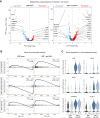 Figure 4. PD-1 blockade induces the AP-1, NF-κB, and IFN transcriptional programs in the T cells of patients with PDAC. A, Volcano plot showing the differentially expressed genes (DEG) over the treatment period among T-cell clones that were present in both pre- and posttreatment samples. B, Gene Set Enrichment Analysis (GSEA) of three hallmark gene sets for the DEGs obtained in (A). C, The posttreatment expression of key genes from the hallmark pathways in (B) among novel expanded cells in comparison with pre-existing expanded cells.