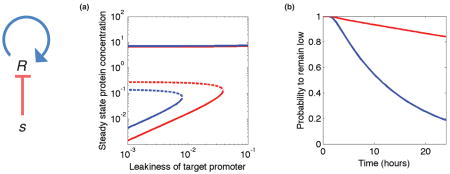Box 2: small RNAs stabilize multi-stable genetic systems