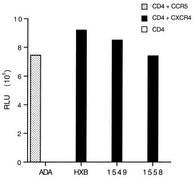 FIG. 1