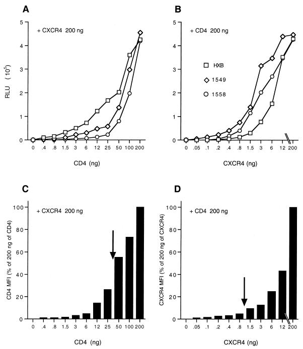 FIG. 4