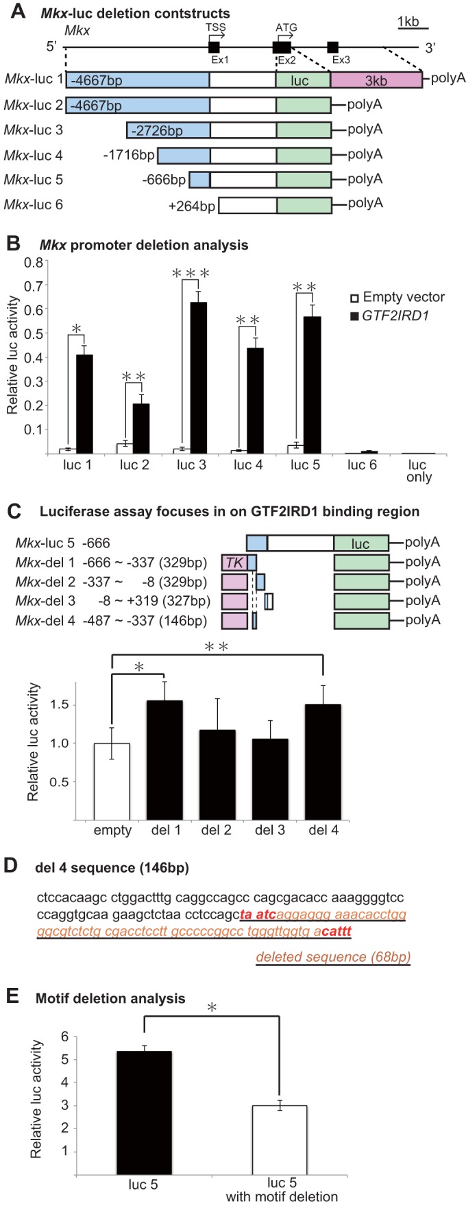 FIG 6