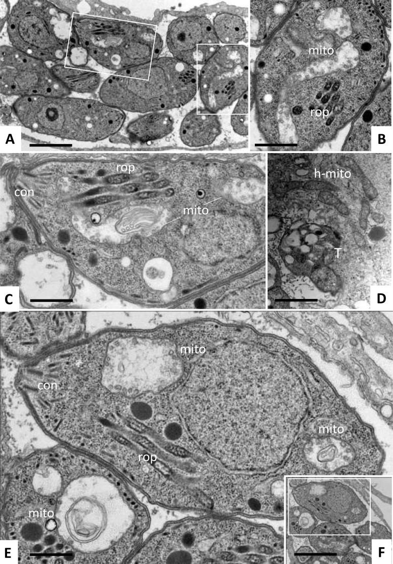 FIG 3