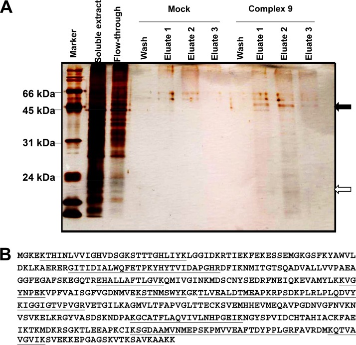 FIG 5