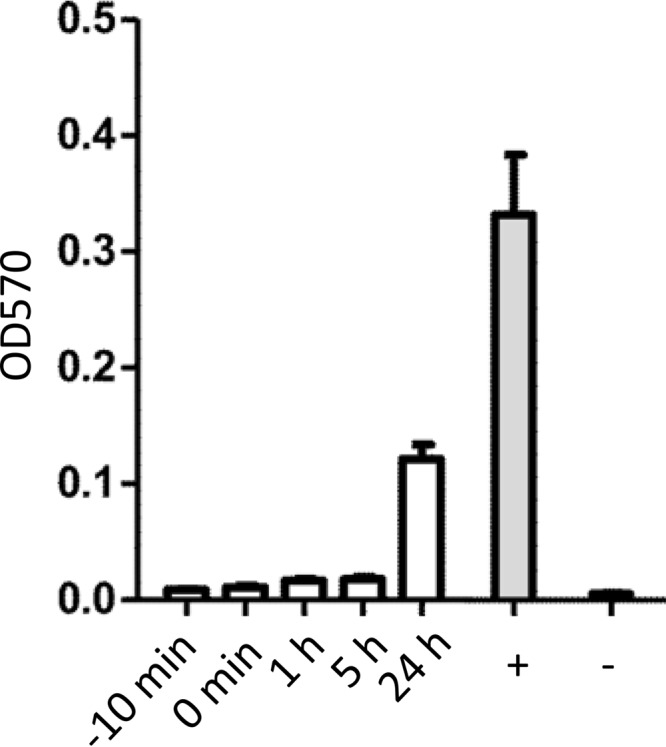 FIG 4