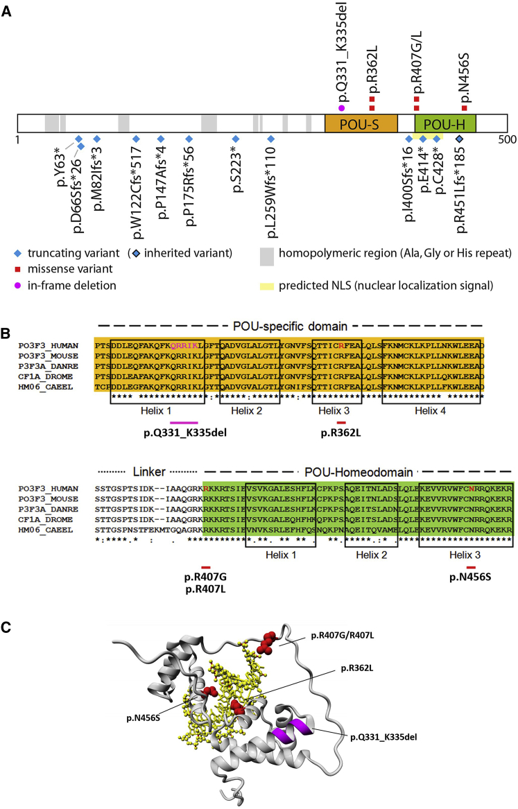 Figure 2