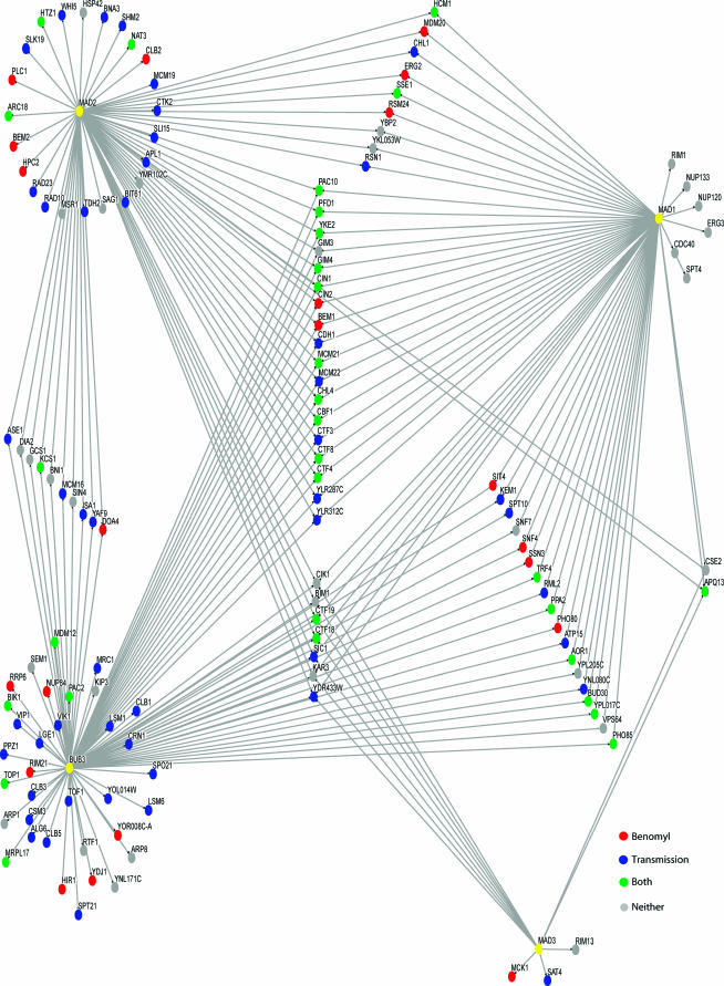 Figure 4.