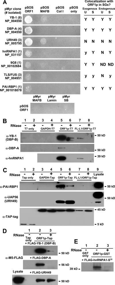 FIG. 4.