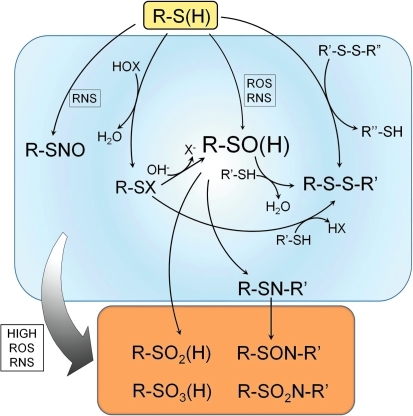 FIG. 1.