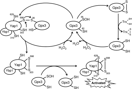 FIG. 4.