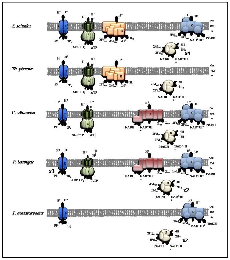 Figure 6