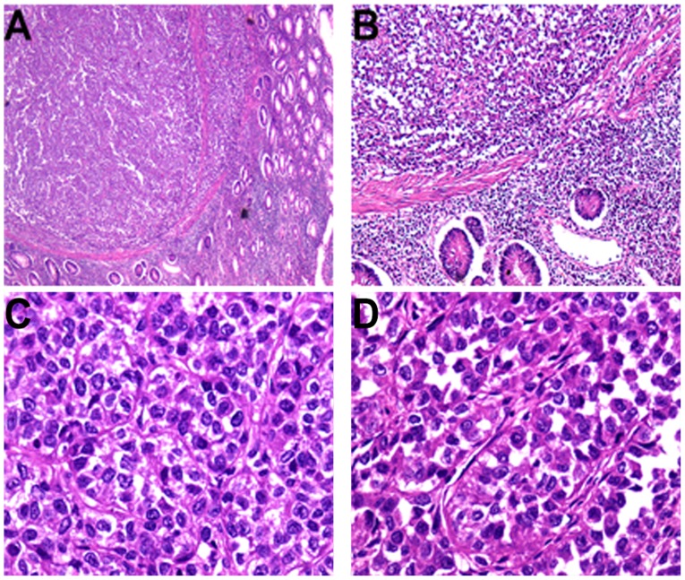 Figure 2.