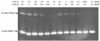 FIG. 6