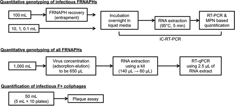 FIG 1