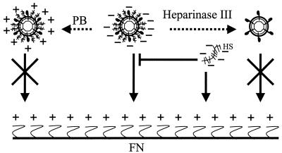 FIG. 7.