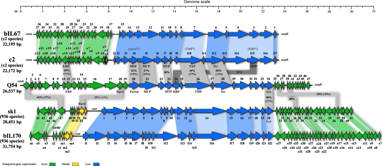 FIG. 6.