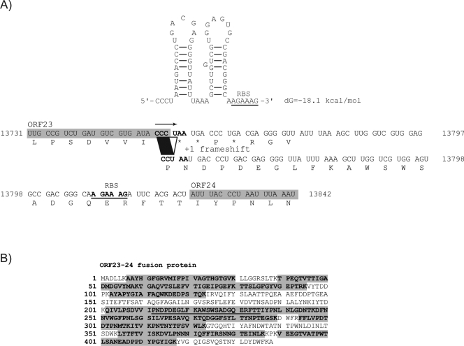 FIG. 5.