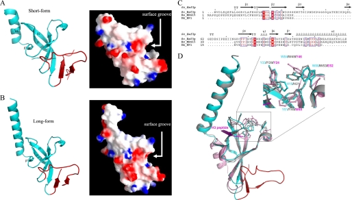 FIGURE 1.