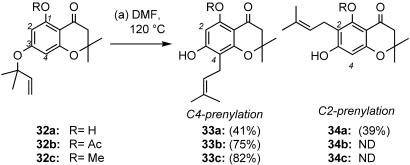 Scheme 5.