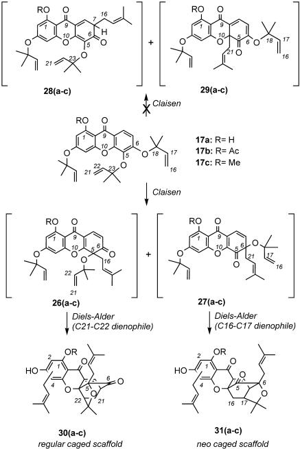 Scheme 4.