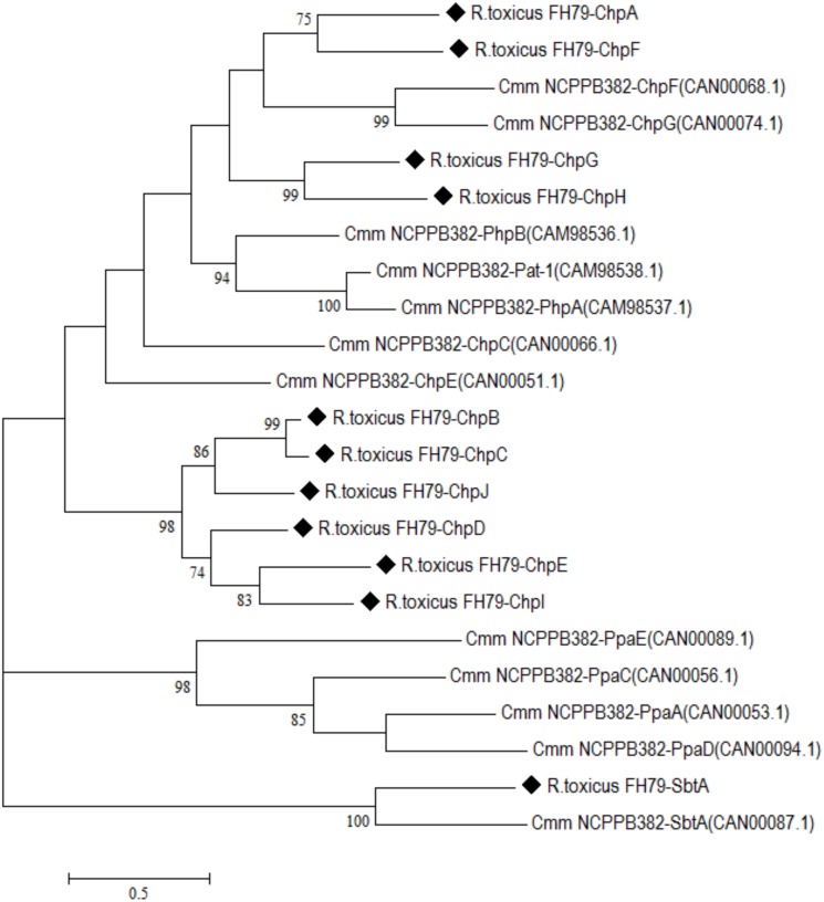 Fig 5