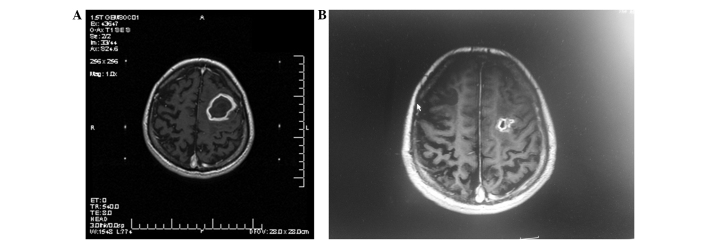 Figure 2.