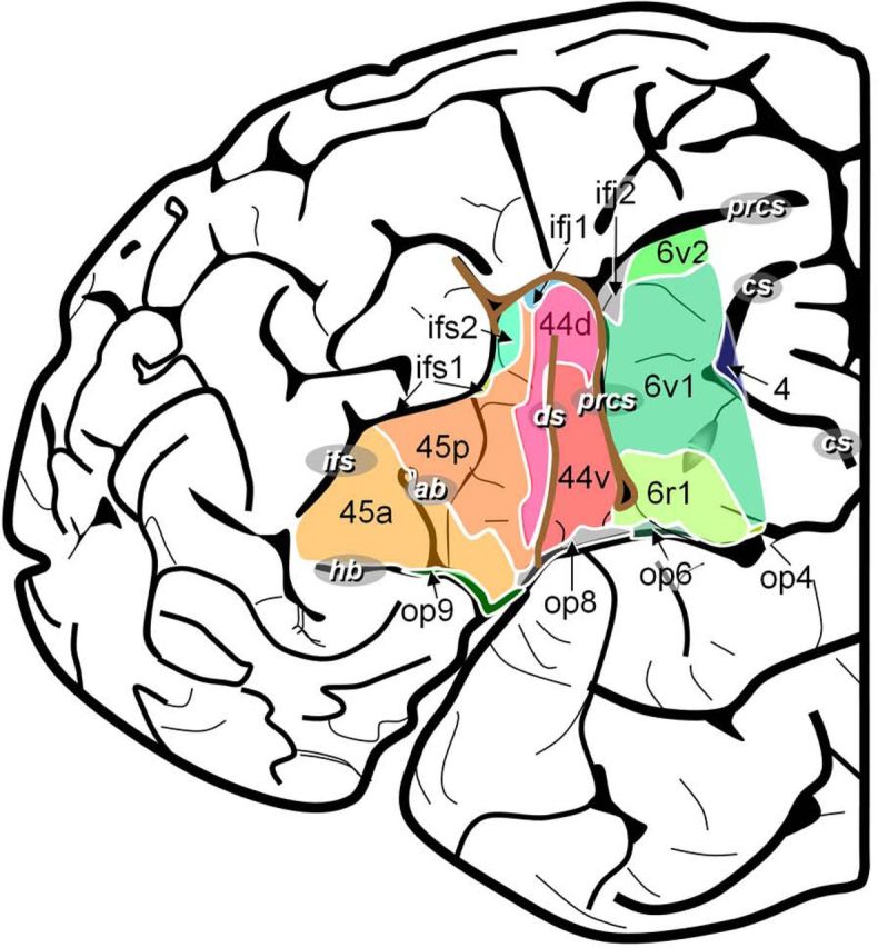 Figure 2.