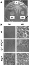 FIG. 2.