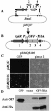 FIG. 4.