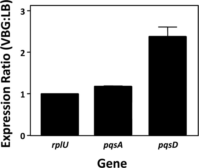 FIG 6