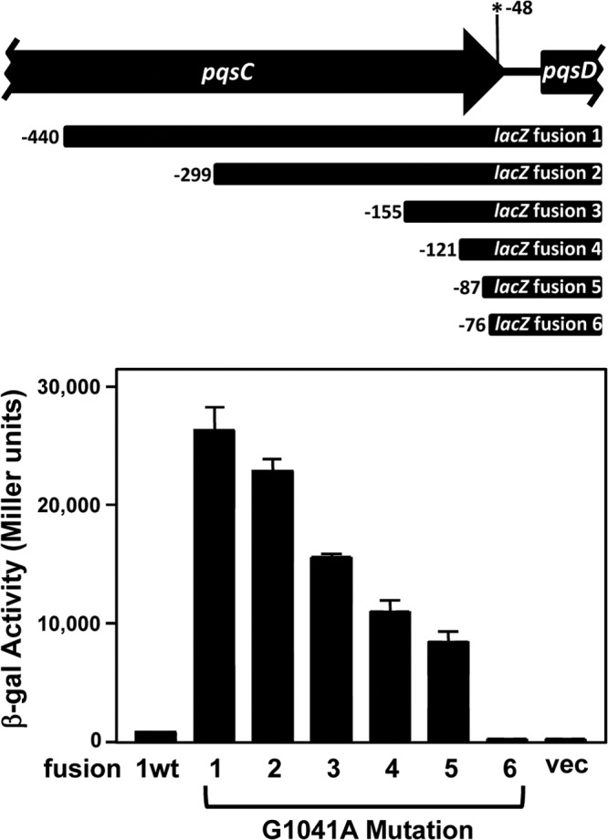 FIG 7