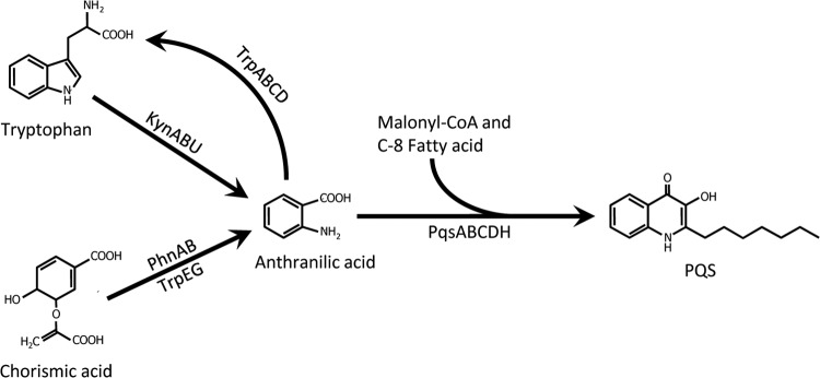 FIG 1