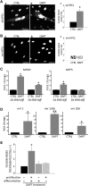 <b>FIG. 4.</b>