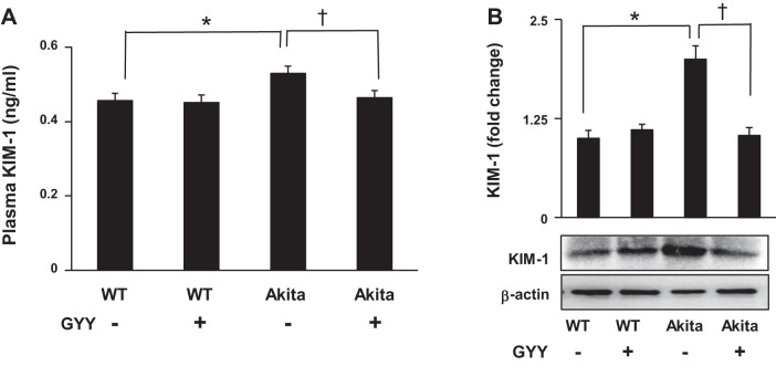 Fig. 9.