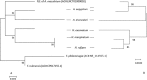 FIG 1