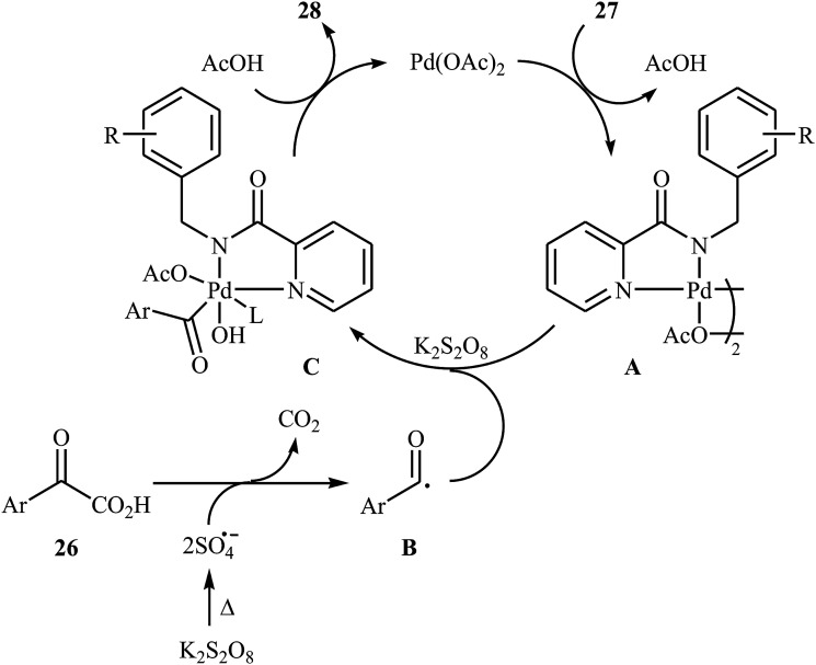 Scheme 14