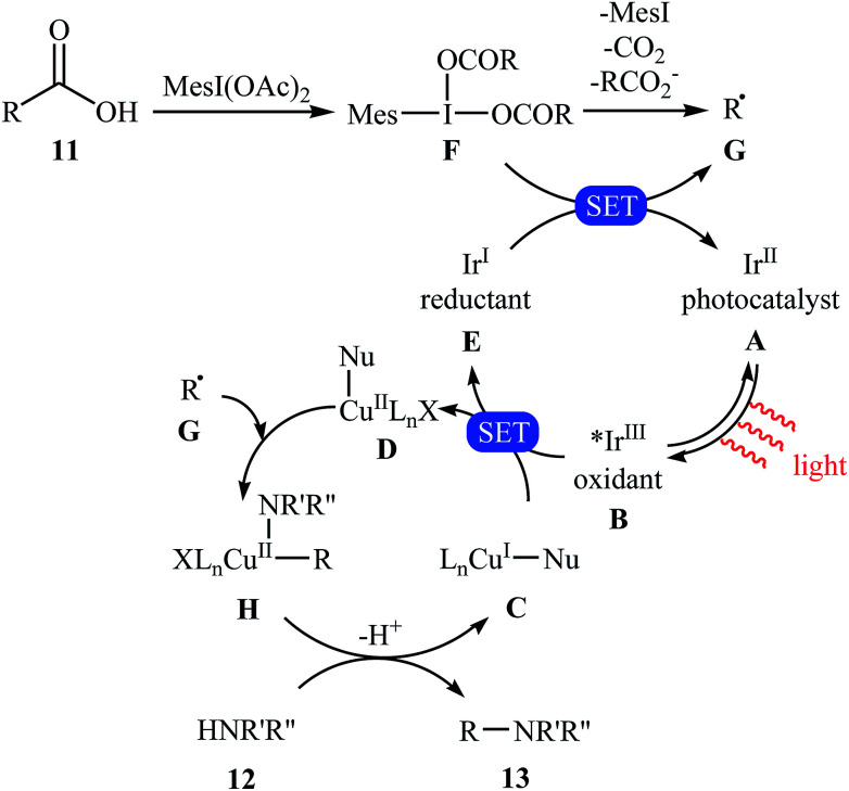 Scheme 7