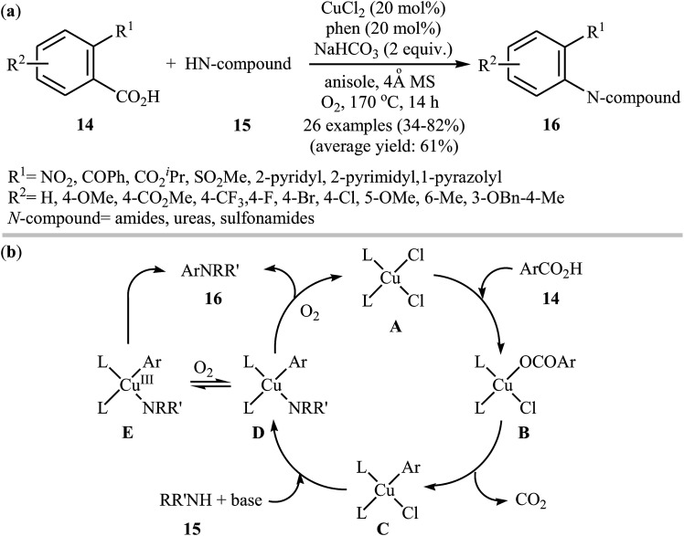 Scheme 8