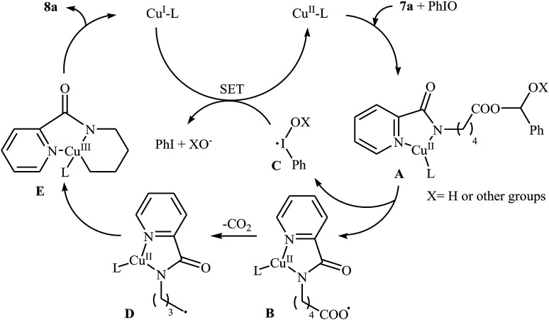 Scheme 5