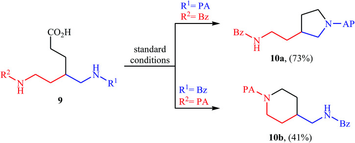 Scheme 4